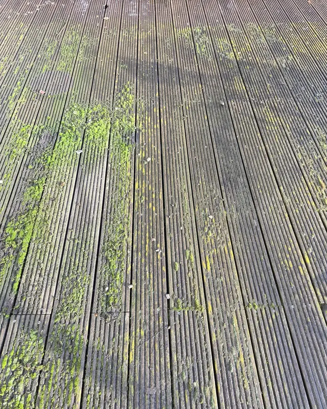 Terrasplanken in ipé met groene aanslag in de groeven